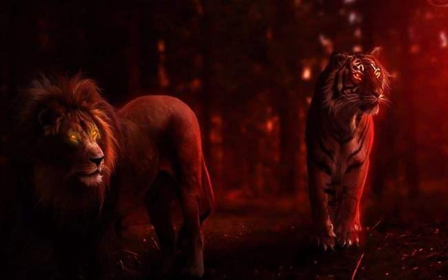 老虎崛起,揭秘丛林霸主的新篇章