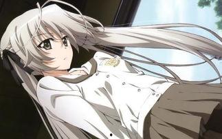 情满穹舆,探寻宇宙间的浪漫与和谐